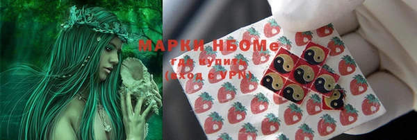 молекула духа Алзамай
