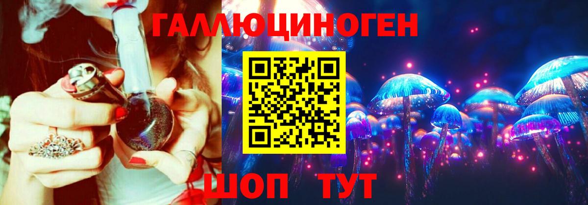 Брянск  Псилоцибиновые грибы прущие грибы  Псилоцибиновые грибы Psilocybe  Вход с VPN 